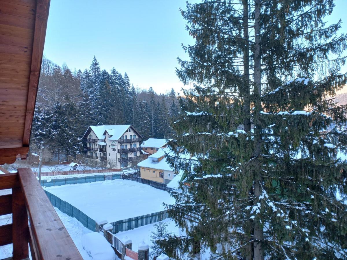 Kalinderu Luxury Ski Loft Буштени Экстерьер фото