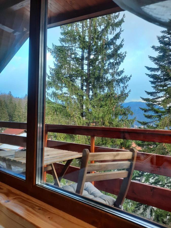 Kalinderu Luxury Ski Loft Буштени Экстерьер фото