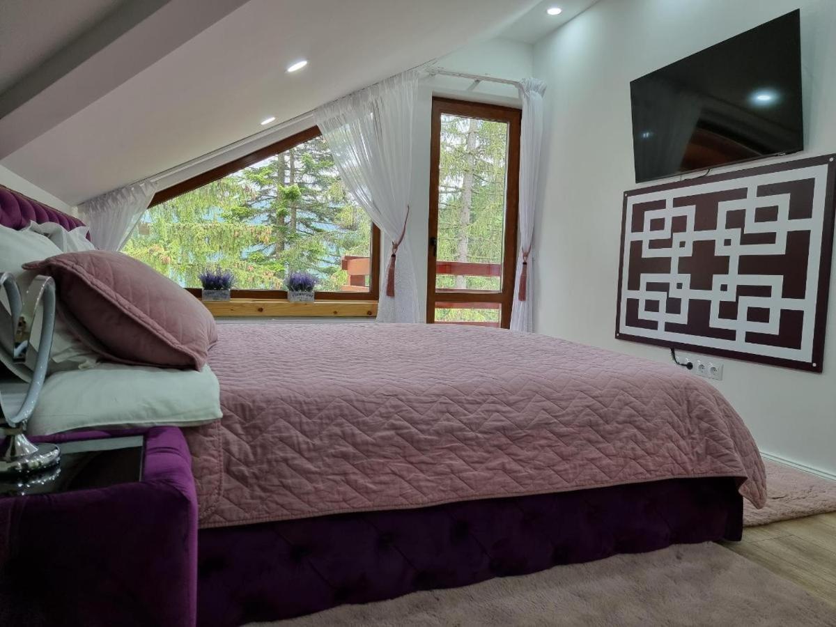 Kalinderu Luxury Ski Loft Буштени Экстерьер фото